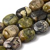 Natural Yellow Turquoise(Jasper) Beads Strands GG-CBA56E5-04-2