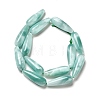 Natural Glass Beads Strands G-I247-29B-3