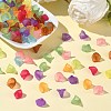 Transparent Acrylic Beads PL622M-5