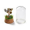 Natural Labradorite Chips Money Tree in Dome Glass Bell Jars with Wood Base Display Decorations DJEW-K030-02M-3