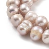 Natural Cultured Freshwater Pearl Beads Strands PEAR-C003-01D-4