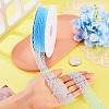 Polyester Lace Ribbon OCOR-TAC0025-008C-6