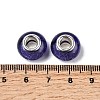 Large Hole Resin European Beads OPDL-R118-13B-2