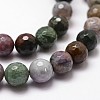 Natural Indian Agate Beads Strands G-G736-31-8mm-3