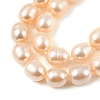 Natural Cultured Freshwater Pearl Beads Strands PEAR-I007-01D-01B-4