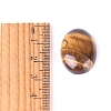 Natural Tiger Eye Cabochons PW-WGEFD9A-07-3