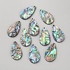 Natural Paua Shell/Abalone Shell Pendants SHEL-WH0008-09B-1
