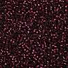 TOHO 8/0 Round Beads SEED-TR08-2226-2