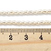 Natural Cultured Freshwater Pearl Beads Strands PEAR-P062-22-5