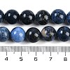 Natural Dumortierite Beads Strands G-G167-A06-10MM-5