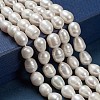 Natural Cultured Freshwater Pearl Beads Strands X-PEAR-N012-08N-2