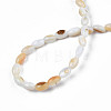 Natural Freshwater Shell Beads Strands SHEL-N003-25-C01-4