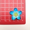 Opaque Resin Cabochons RESI-R455-01P-02-1