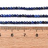 Natural Lapis Lazuli Beads Strands G-E351-09-3