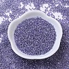 MIYUKI Delica Beads SEED-MY11-DB0250-2