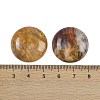 Natural Crazy Agate Cabochons G-H1596-FR-25mm-20-3