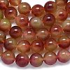 Natural Malaysia Jade Beads Strands G-B165-C05-14mm-3