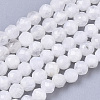 Natural Rainbow Moonstone Beads Strands LS-G-R462-032B-1