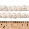 Natural Cultured Freshwater Pearl Beads Strands PEAR-P064-19I-06D-4