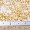 MIYUKI Delica Beads Small SEED-X0054-DBS0100-4