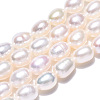 Natural Cultured Freshwater Pearl Beads Strands X1-PEAR-N012-05M-4