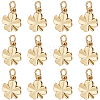 40Pcs Brass Charms KK-BBC0008-55-1