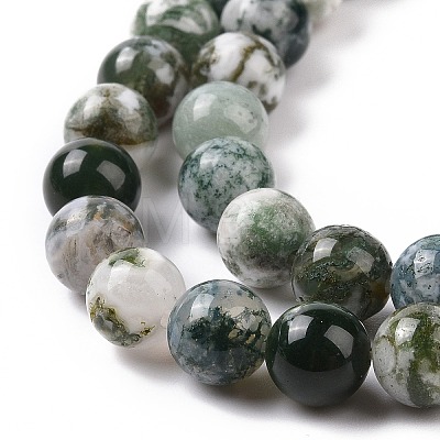 Natural Tree Agate Beads Strands G-K194-6mm-02-1