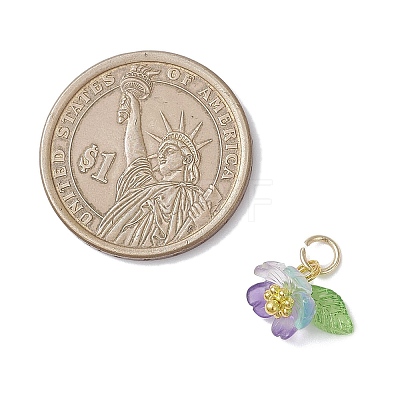 Transparent Resin & Acrylic Pendants PALLOY-JF04358-1