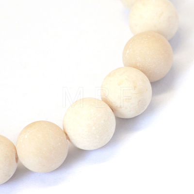 Frosted Natural Fossil Round Bead Strands X-G-E334-4mm-22-1