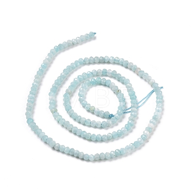 Natural Amazonite Beads Strands G-E194-02B-1