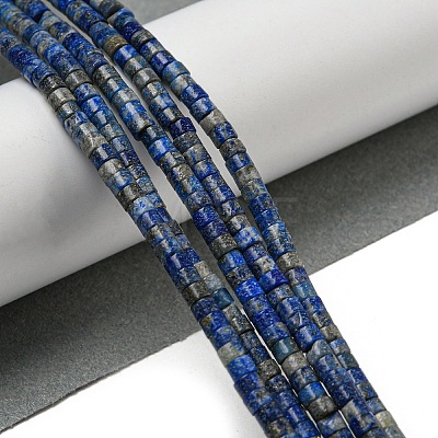 Natural Lapis Lazuli Beads Strands G-C084-D12-02-1