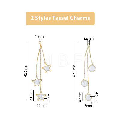 12Pcs 2 Style Brass Micro Pave Clear Cubic Zirconia Tassel Big Pendants FIND-DC0003-49-1
