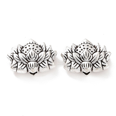 Tibetan Style Alloy Beads FIND-H038-21AS-1