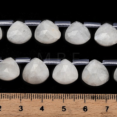 Natural Rainbow Moonstone Beads Strands G-C292-A01-01-1