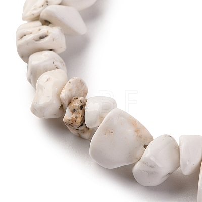 Magnesite Chip Bead Strands G-M205-75-1