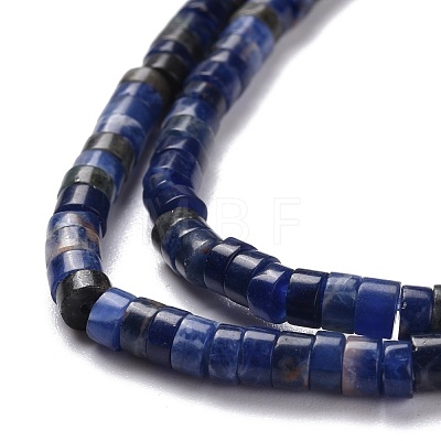 Natural Sodalite Beads Strands G-P468-19-1