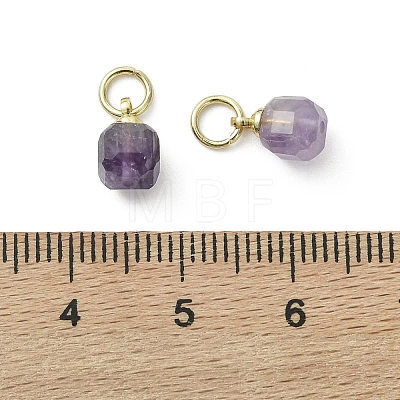 Natural Amethyst Pendants PALLOY-JF05300-02-1