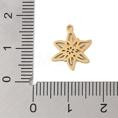 304 Stainless Steel Pendants STAS-S139-06G-01-1