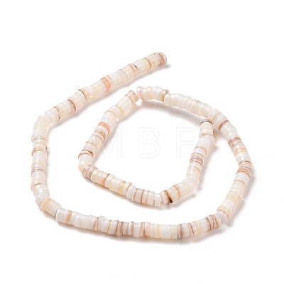 Freshwater Shell Beads Strands SHEL-G011-09-A02-1