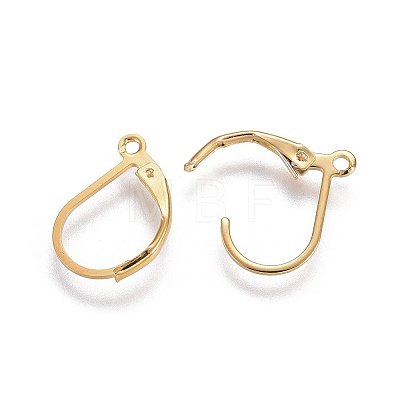 304 Stainless Steel Leverback Earring Findings LS-X-STAS-L221-09G-1