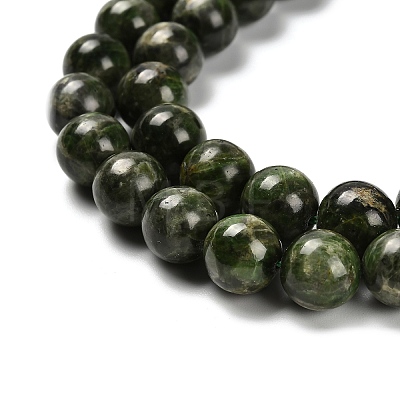 Natural Diopside Beads Strands G-R006-A01-01-1