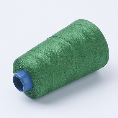 Polyester Thread OCOR-WH0001-10-1