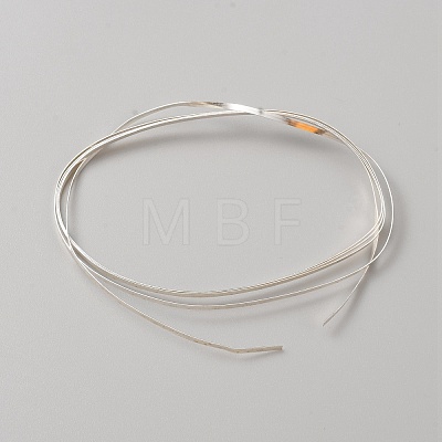 999 Fine Silver Wire STER-WH0010-05S-1