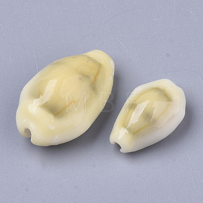 Natural Cowrie Shell Beads SSHEL-N034-C-26-1