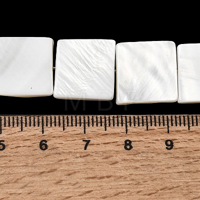 Natural Freshwater Shell Beads Strands SHEL-A006-10B-1