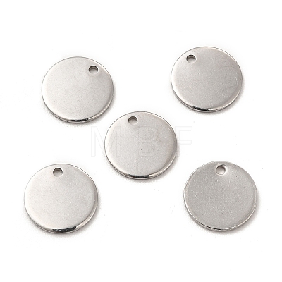 Non-Tarnish 304 Stainless Steel Charms STAS-L207-24D-P-1