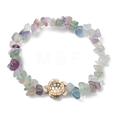 Natural Fluorite Chips Beads Stretch Bracelets BJEW-JB11245-04-1