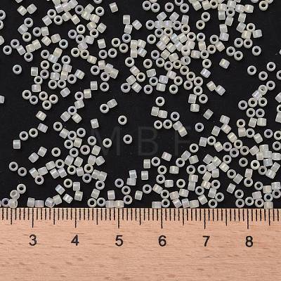 Cylinder Seed Beads X-SEED-H001-F08-1