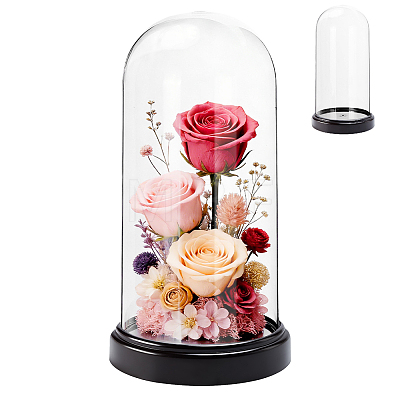 Acrylic Dome Cover DIY-WH0899-949A-1