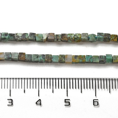 Natural African Turquoise(Jasper) Beads Strands G-B064-A13-1